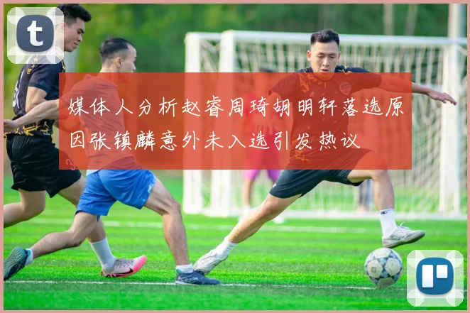 媒体人分析赵睿周琦胡明轩落选原因张镇麟意外未入选引发热议