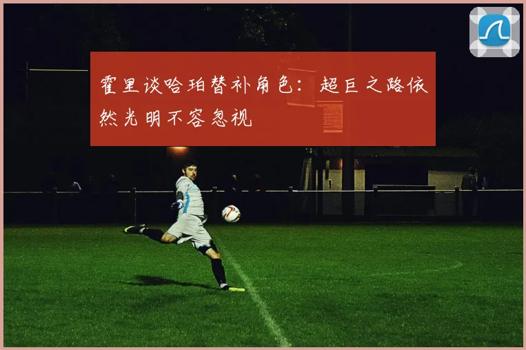 霍里谈哈珀替补角色：超巨之路依然光明不容忽视