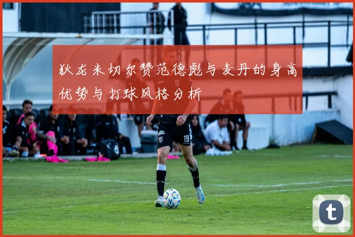 狄龙米切尔赞范德彪与麦丹的身高优势与打球风格分析